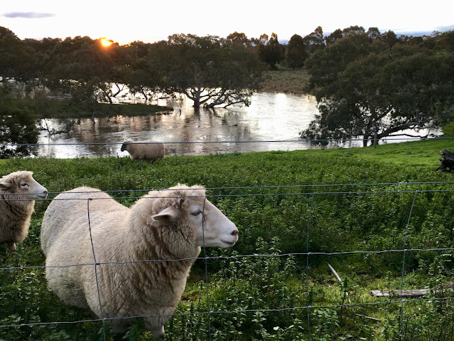 Comentarii opinii despre ELEPHANT BRIDGE HOTEL