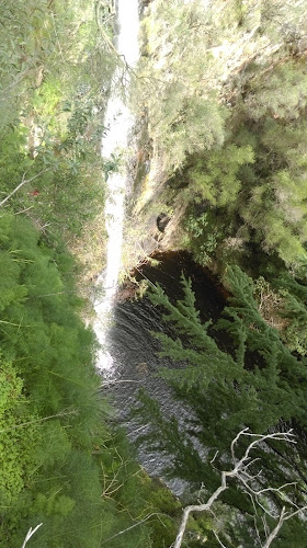 Opinii despre Utopia @ Waterfall Gully în Adelaide - Hospitality and gastronomy