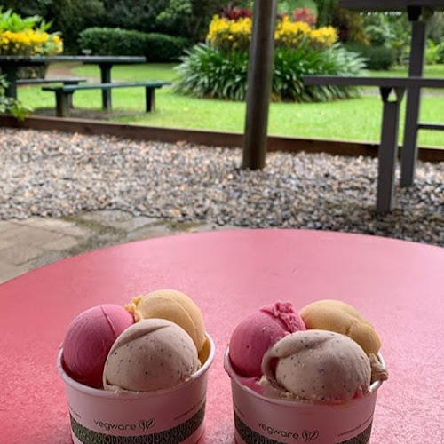 Daintree Ice Cream Company - Brisbane