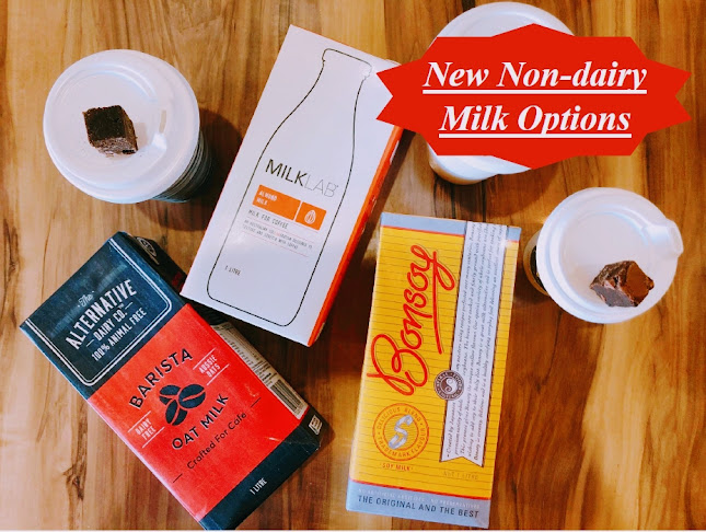 The Y Cafe - Hospitality and gastronomy