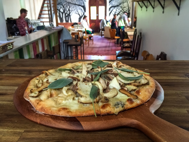 Lost in a Forest - Adelaide