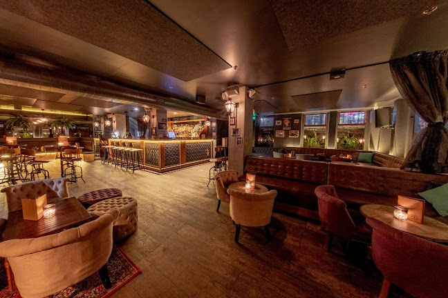 Comentarii opinii despre The Swinging Cat