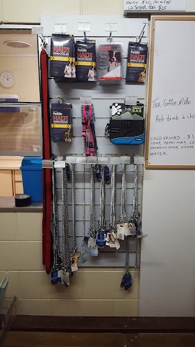 465 Tor St, Newtown QLD 4350