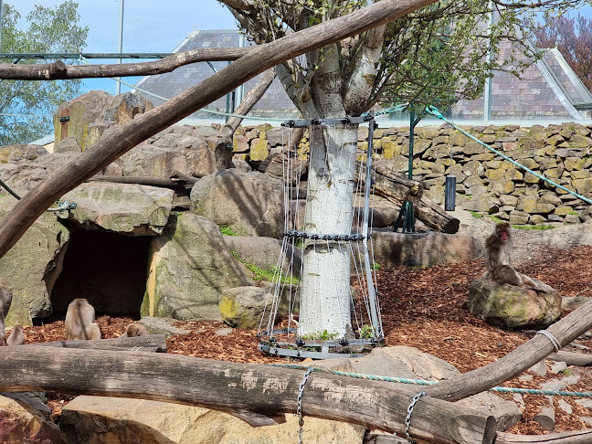 Opinii despre City Park Store în Launceston - Hospitality and gastronomy