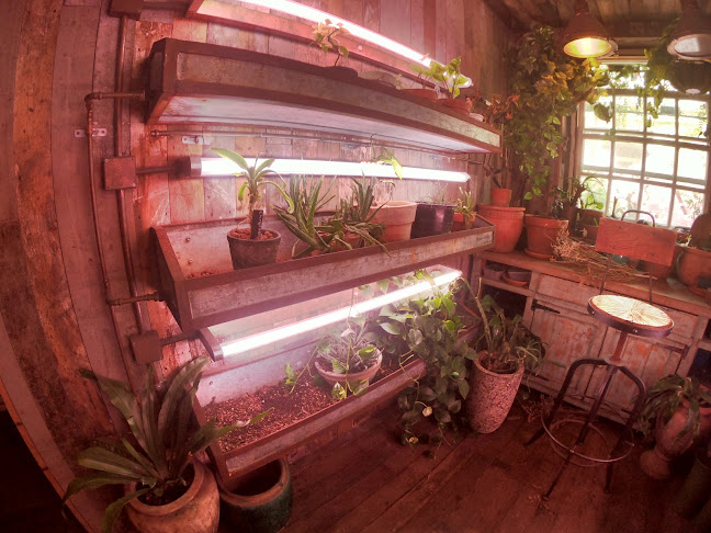 41/43 Bourke Rd, Alexandria NSW 2015