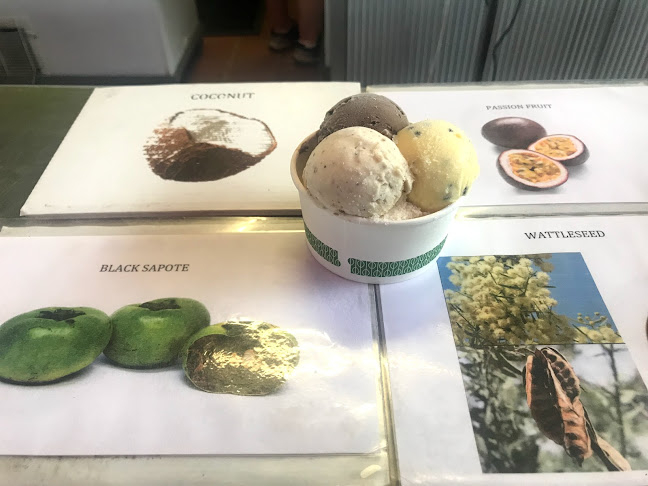Daintree Ice Cream Company - Hospitality and gastronomy