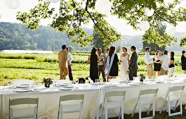 Dish Catering & Events