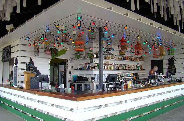 Dandy's Rooftop Bar - Hospitality and gastronomy