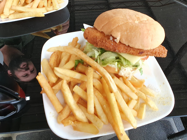 113 McEvoy St, Warwick QLD 4370