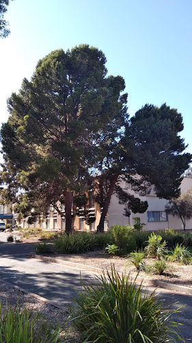 Comentarii opinii despre Mint Cafe Whyalla