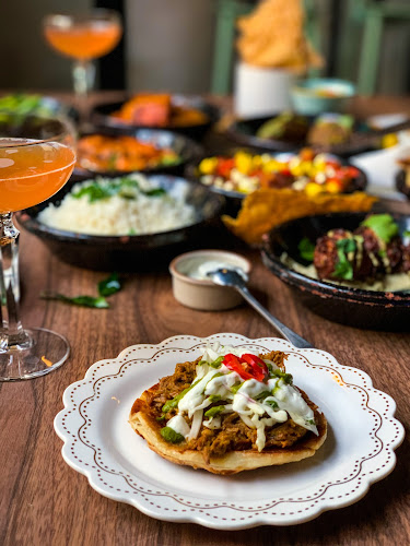 Comentarii opinii despre Lions And Tigers