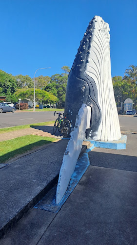 Comentarii opinii despre Hervey Bay Boat Club