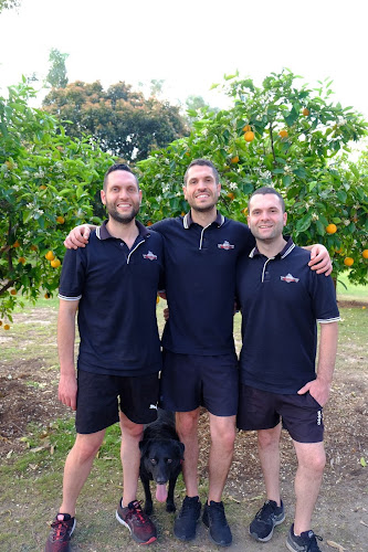 Three Brothers Fresh