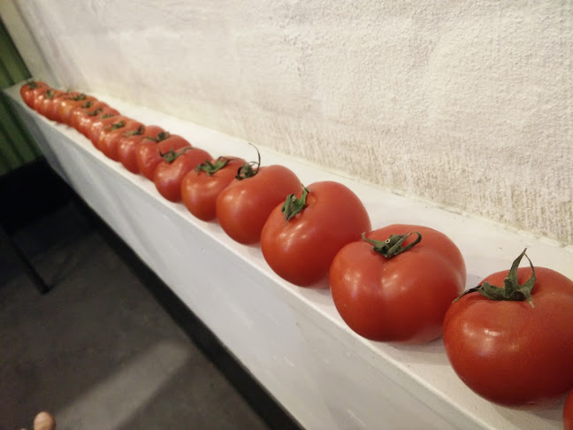 Comentarii opinii despre Miznon