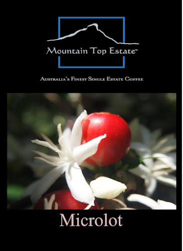 Opinii despre Mountain Top Coffee în Sydney - Hospitality and gastronomy