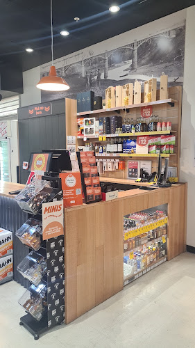 BWS Singleton - Singleton