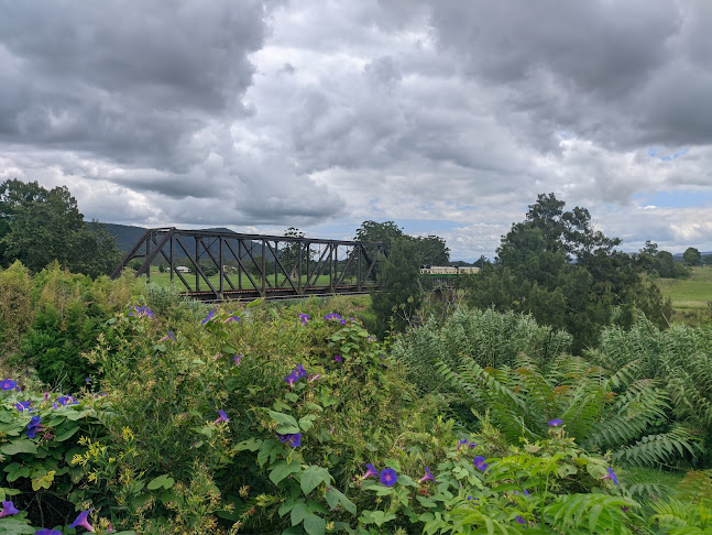 24 King St, Paterson NSW 2421