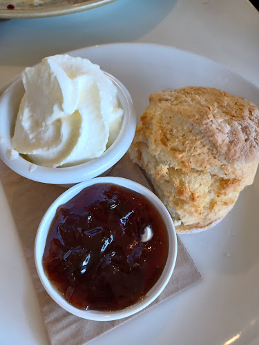 Zamia Cafe - Hospitality and gastronomy