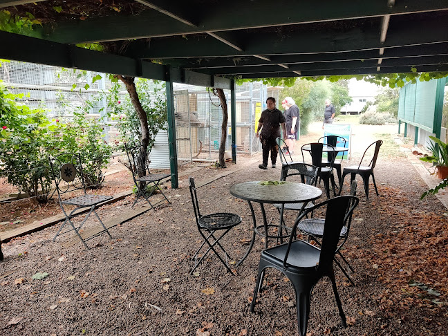 Main N Rd, Stone Hut SA 5480