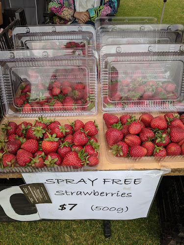 33/45 Pertobe Rd, Warrnambool VIC 3280