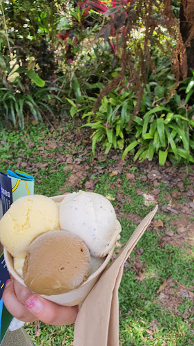 Daintree Ice Cream Company - Hospitality and gastronomy