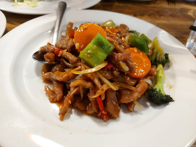 Comentarii opinii despre Fortune Lane Chinese Restaurant