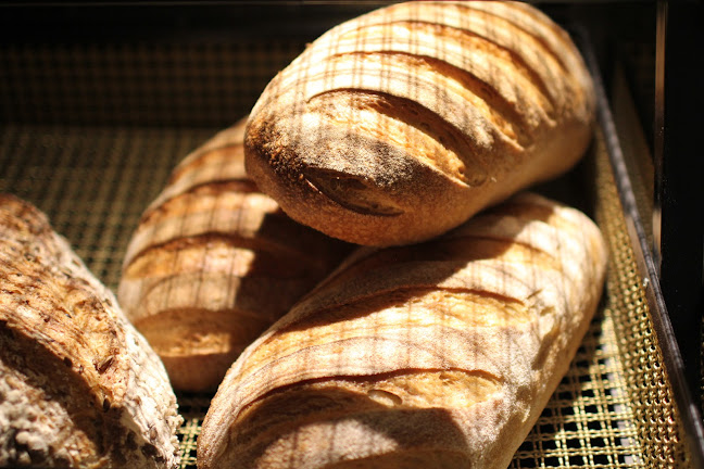 Comentarii opinii despre Long Shot