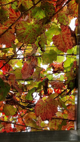 Opinii despre Riverbank of Queanbeyan cafe în Queanbeyan - Hospitality and gastronomy