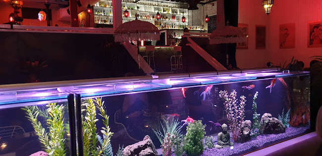 Comentarii opinii despre Casablabla - Multicultural Tapas Lounge Bar