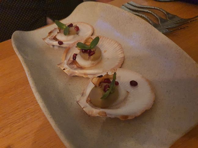 Comentarii opinii despre Bridgewater Q