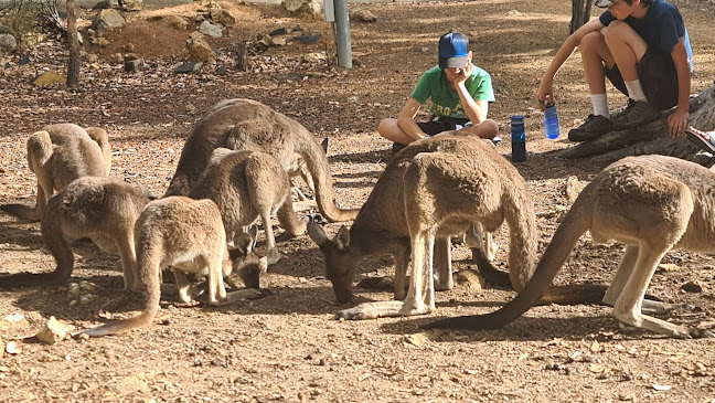 John Forrest Tavern - Hospitality and gastronomy