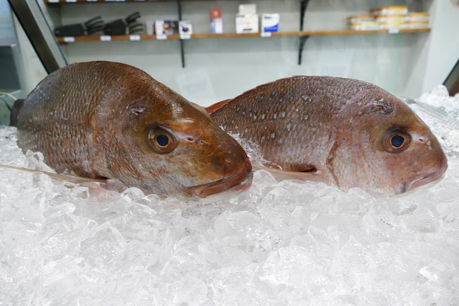 13 Rodmay St, Tuncurry NSW 2428