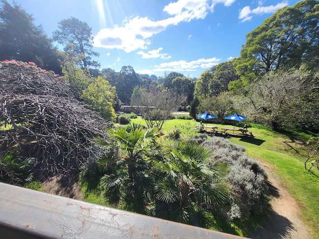 Comentarii opinii despre Paradise Valley Hotel