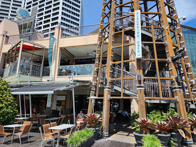 Opinii despre Blackbird Cafe în Sydney - Hospitality and gastronomy