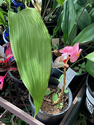 4 Port Augusta Rd, Whyalla Barson SA 5600