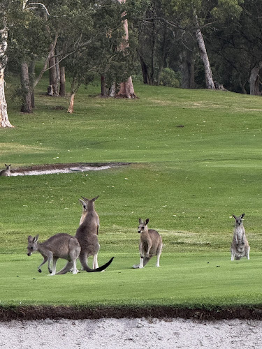 61 Dowling St, Nelson Bay NSW 2315