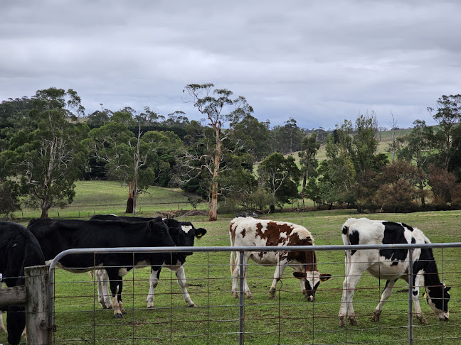 Comentarii opinii despre Dairylicious Farm Fudge