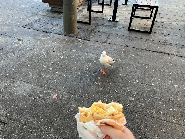 Shop #40/8 Cavill Ave, Surfers Paradise QLD 4217