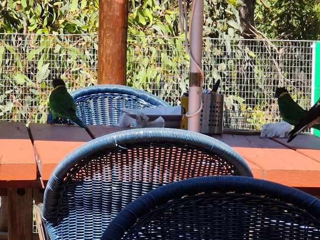 Comentarii opinii despre John Forrest Tavern