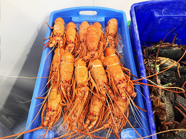 Opinii despre Monin Seafoods în Tuncurry - Hospitality and gastronomy