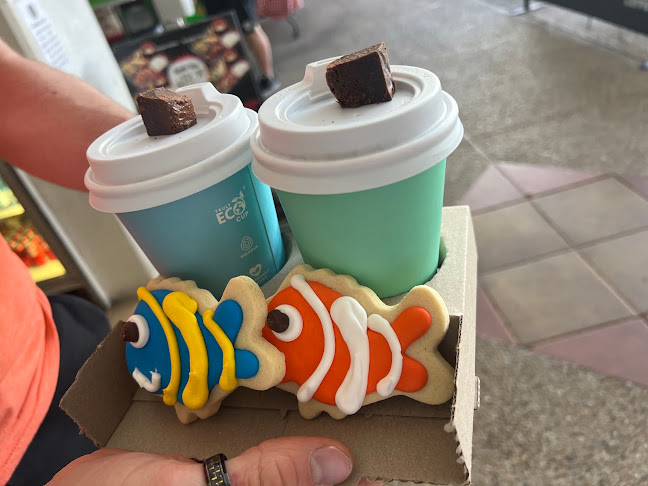 Comentarii opinii despre The Y Cafe