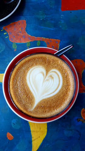 Comentarii opinii despre redd catt