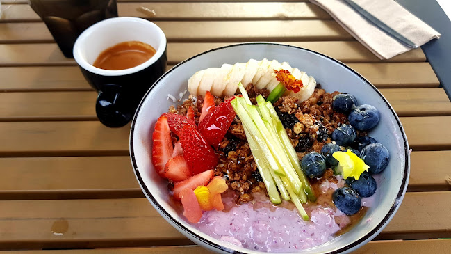 Bellyfish Cafe - Hospitality and gastronomy