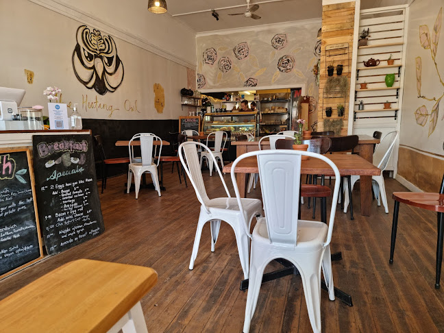 The Hooting Owl Coffee House - Taree