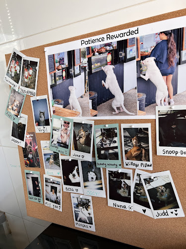 Drift Coffee Kazbah - Hospitality and gastronomy