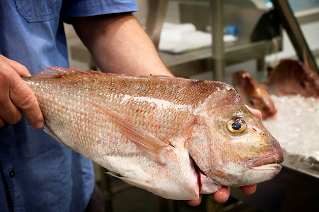 13 Rodmay St, Tuncurry NSW 2428