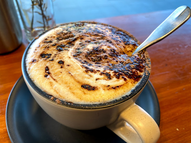 Little Fern on Regent