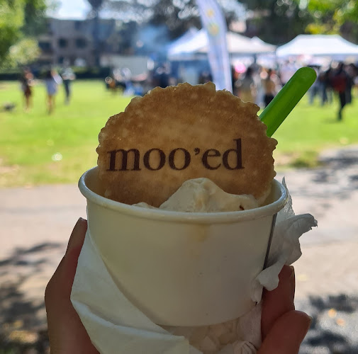 Moo'ed Ice Cream - Hospitality and gastronomy