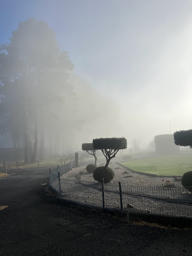 Blue Mountains Tea Shack - Lithgow