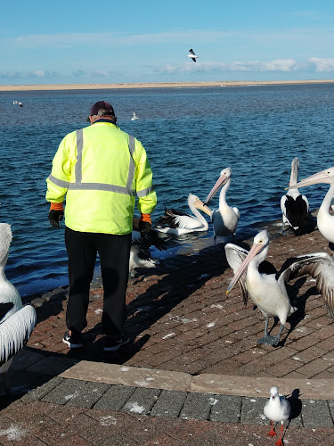 Opinii despre Euro Bean Cafe & Bar în The Entrance - Hospitality and gastronomy